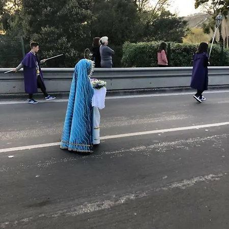 Atlantic Nest * 纳扎雷